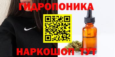 шишки Славгород