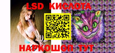 шишки Славгород