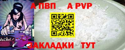 шишки Славгород